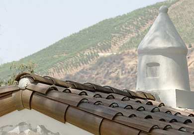 S-Tile with Roof Decoration